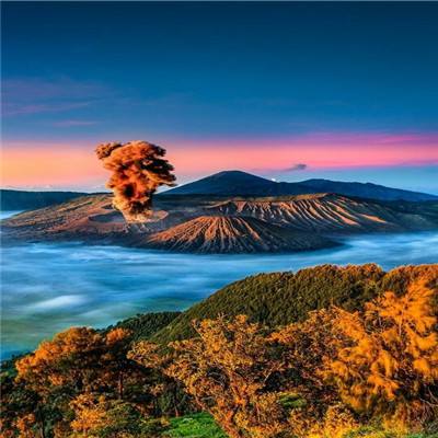 1377萌宠西游下载